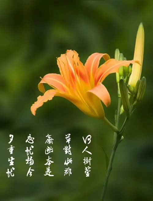 新月涂装祝福：天下所有母亲，节日快乐！