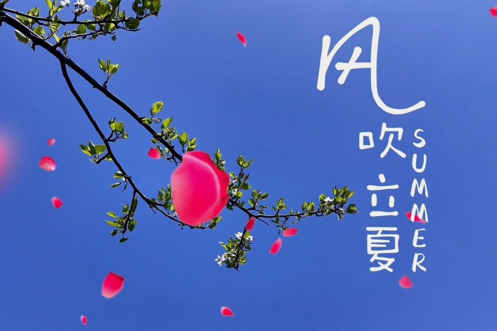 今日立夏：夏浅胜春最可人!