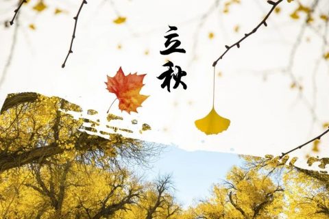 落叶知秋-新月涂装祝您立秋快乐！